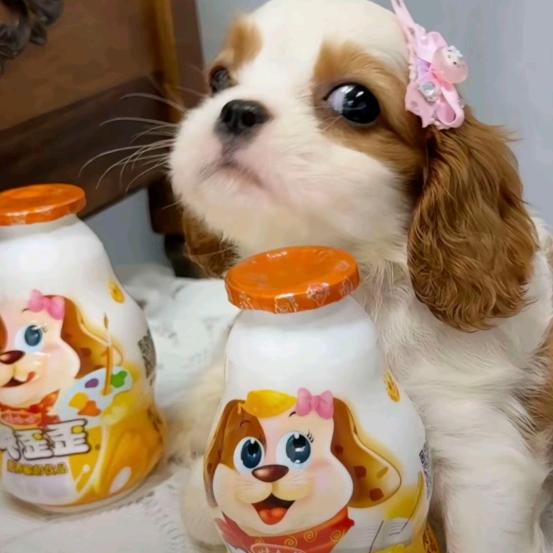 翎钰