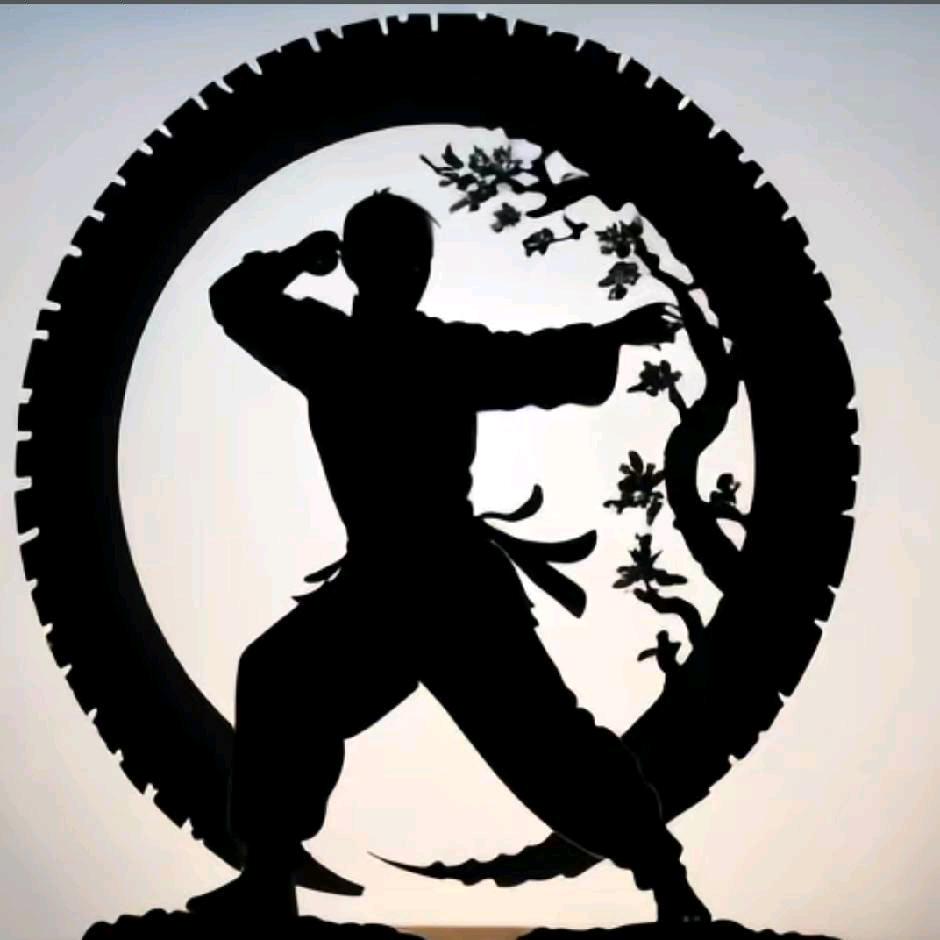 鹤壁精武堂李教练