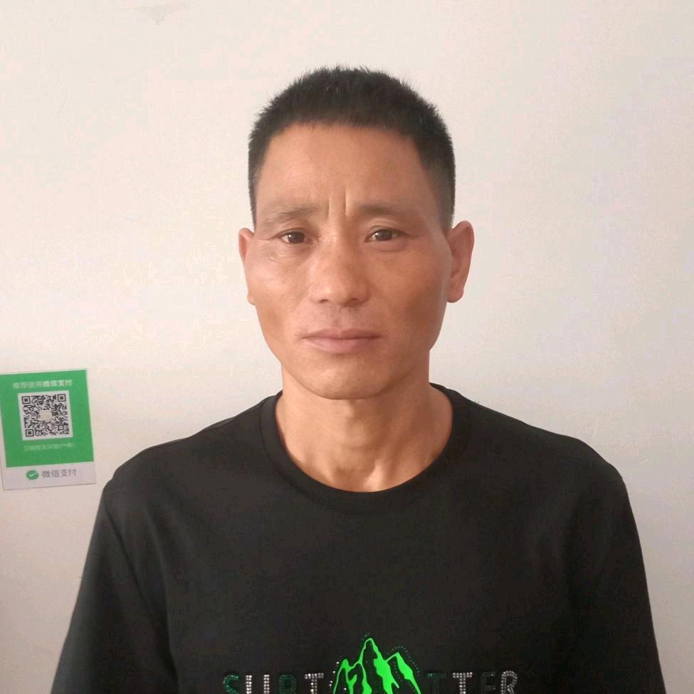 好运来，