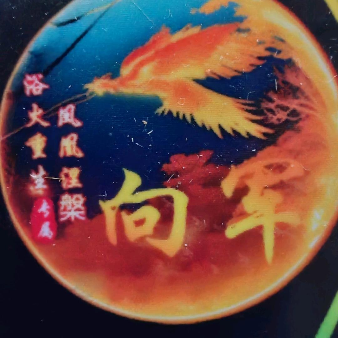 代号Q