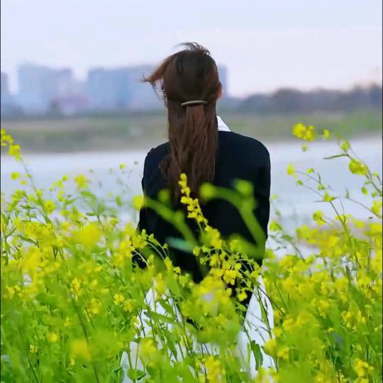 潘美辰辰
