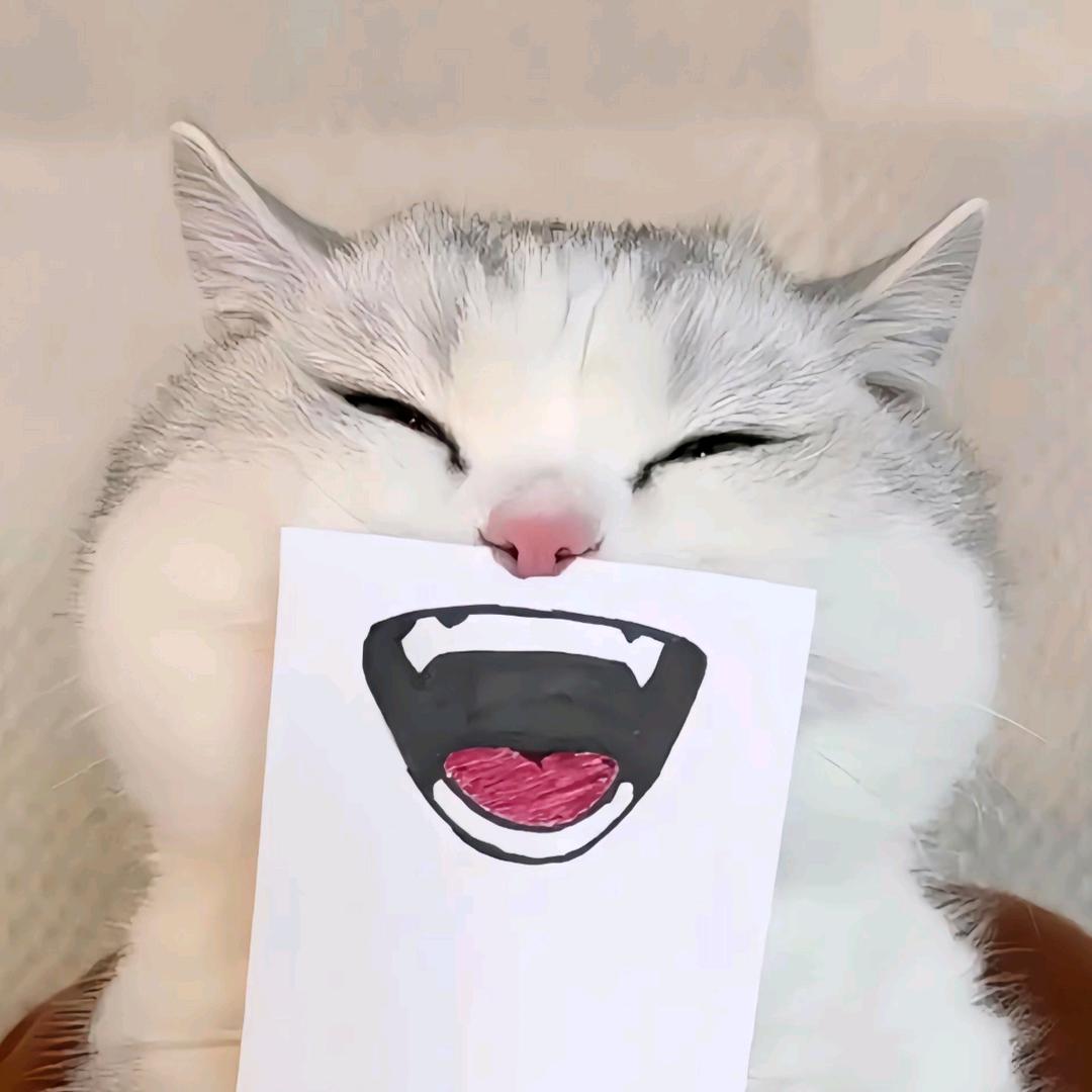 小小试玩员