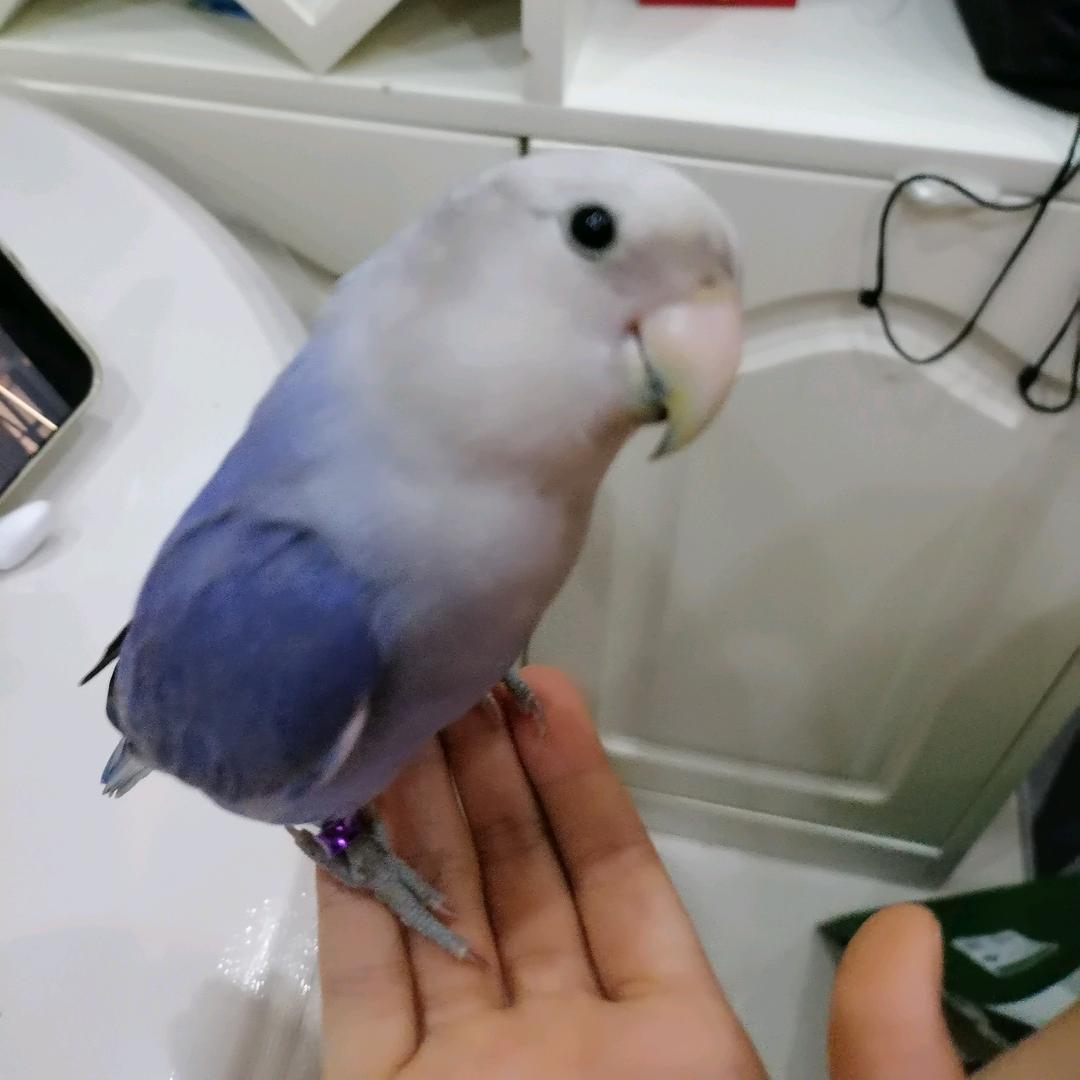 诺诺美美哒💓