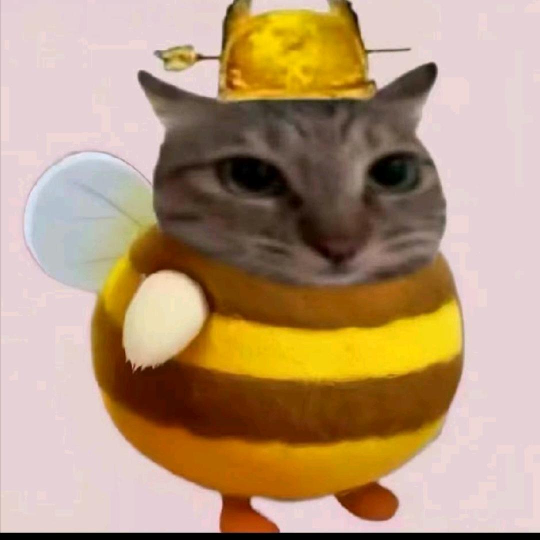 酮（三角洲行动）