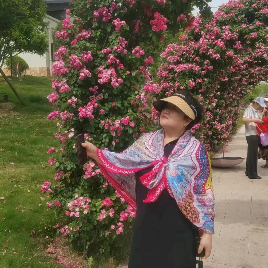 桂桂