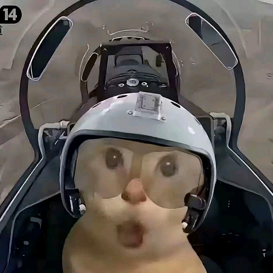 灵闪(三角洲行动)