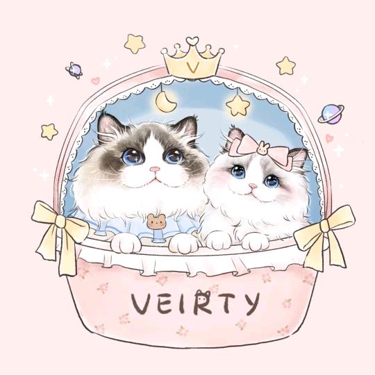 小崽子儿🐱