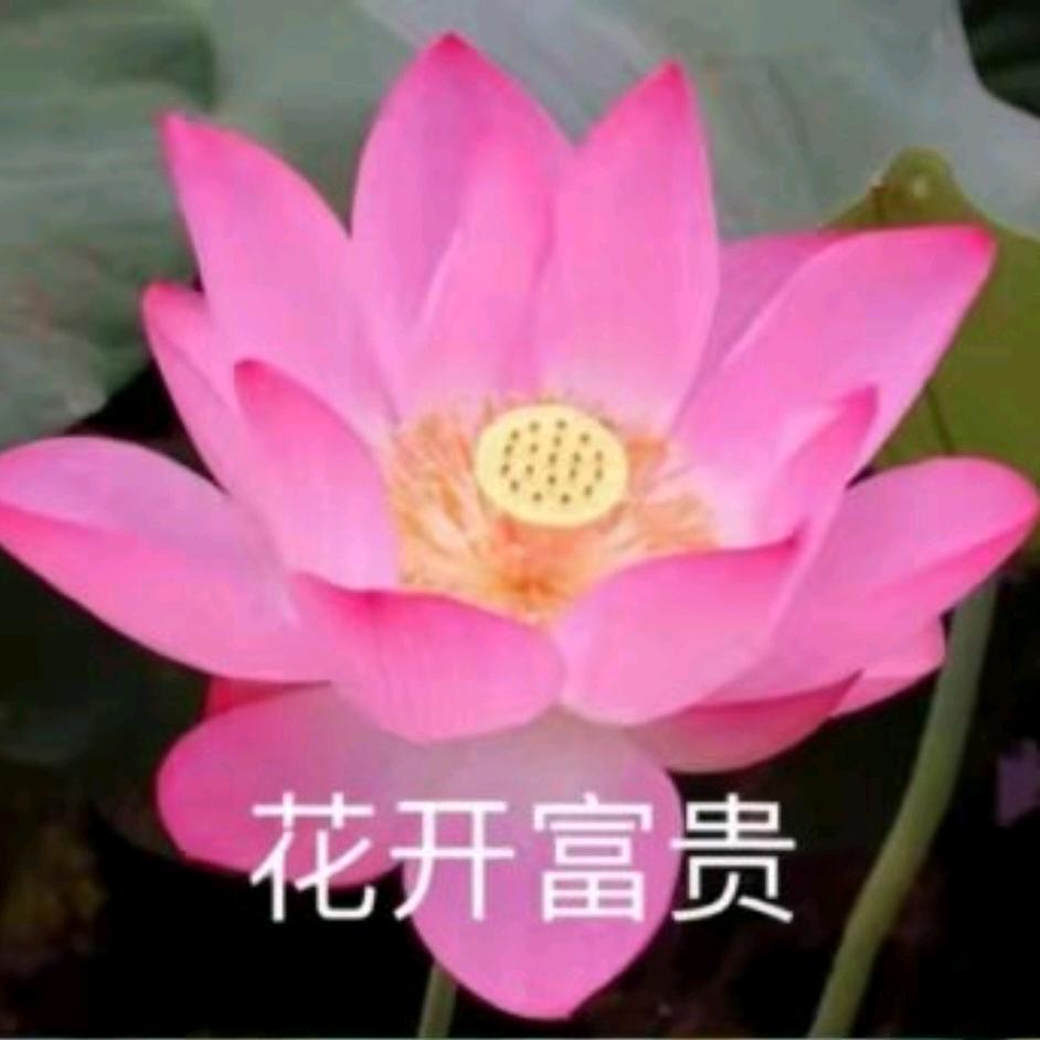 小啵啵