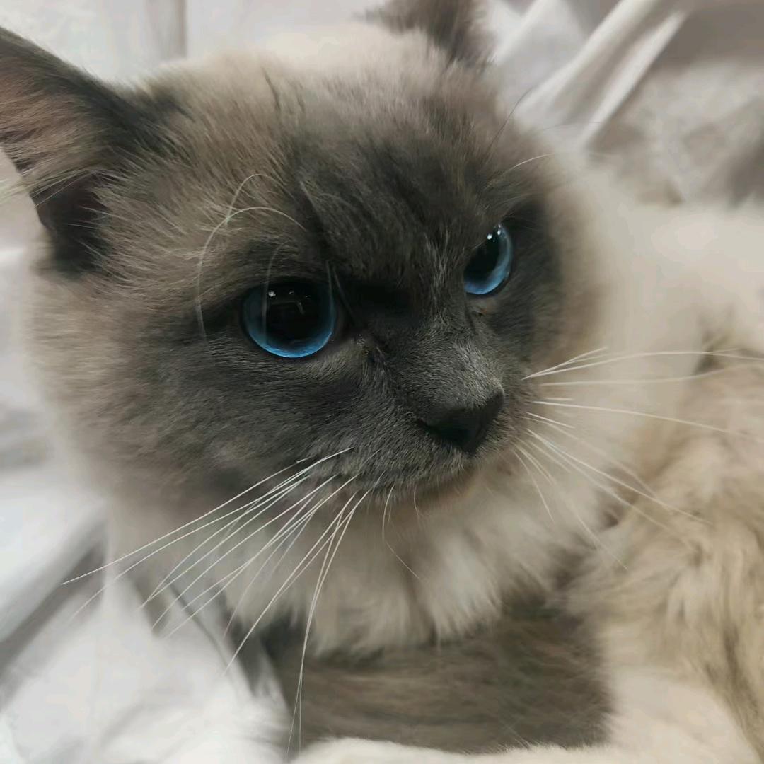 用户6327367594513