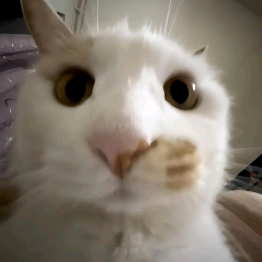 暗区突围无限代肝