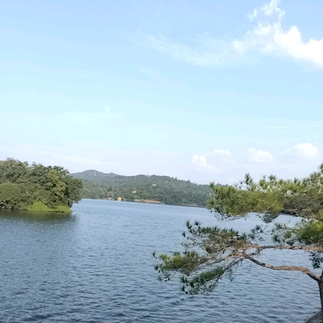 青春的记忆