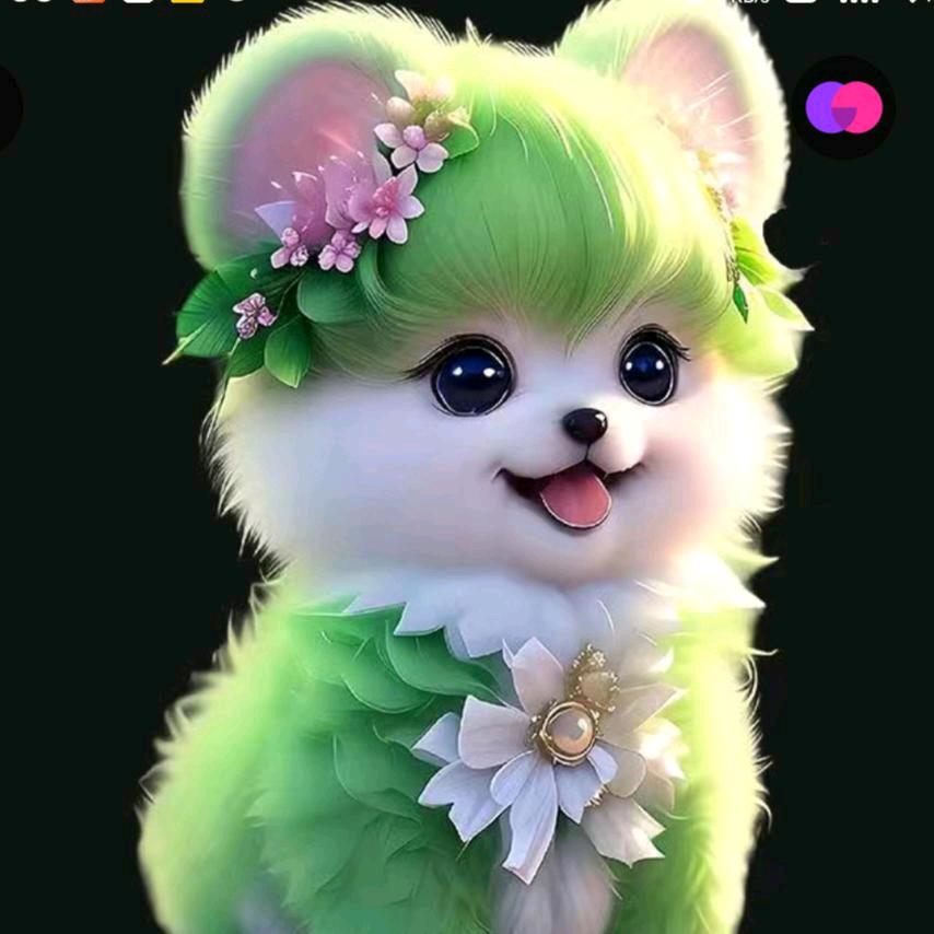 冰xy
