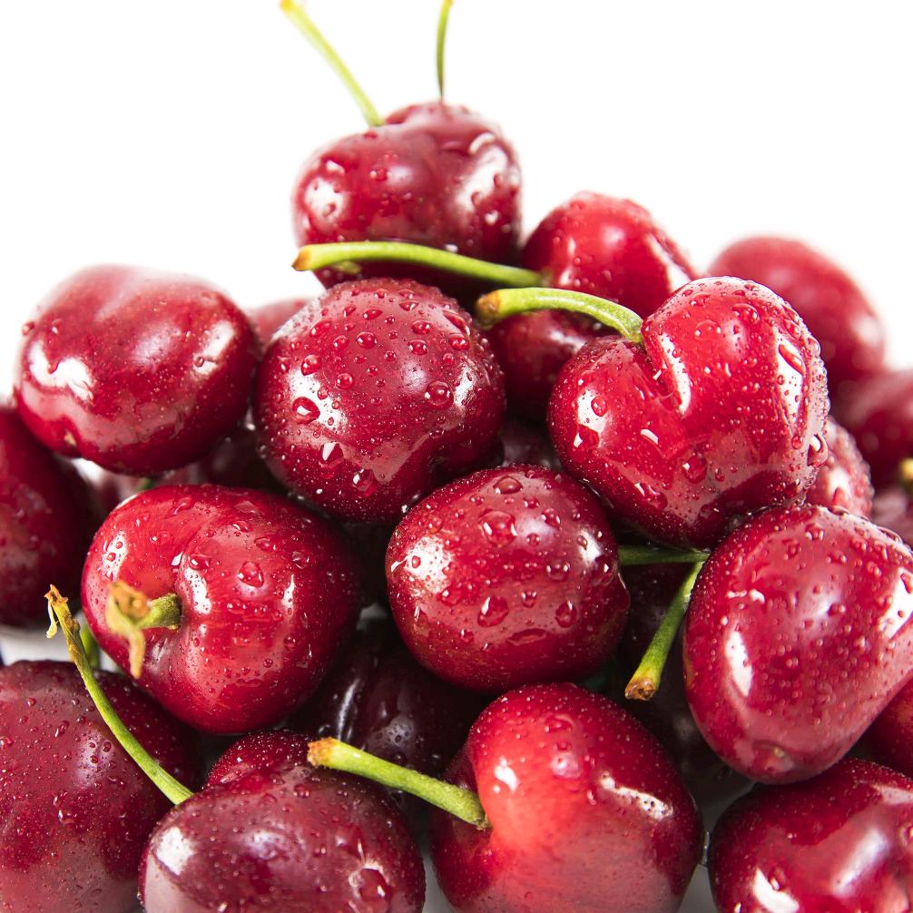 智利🇨🇱进口桑提娜