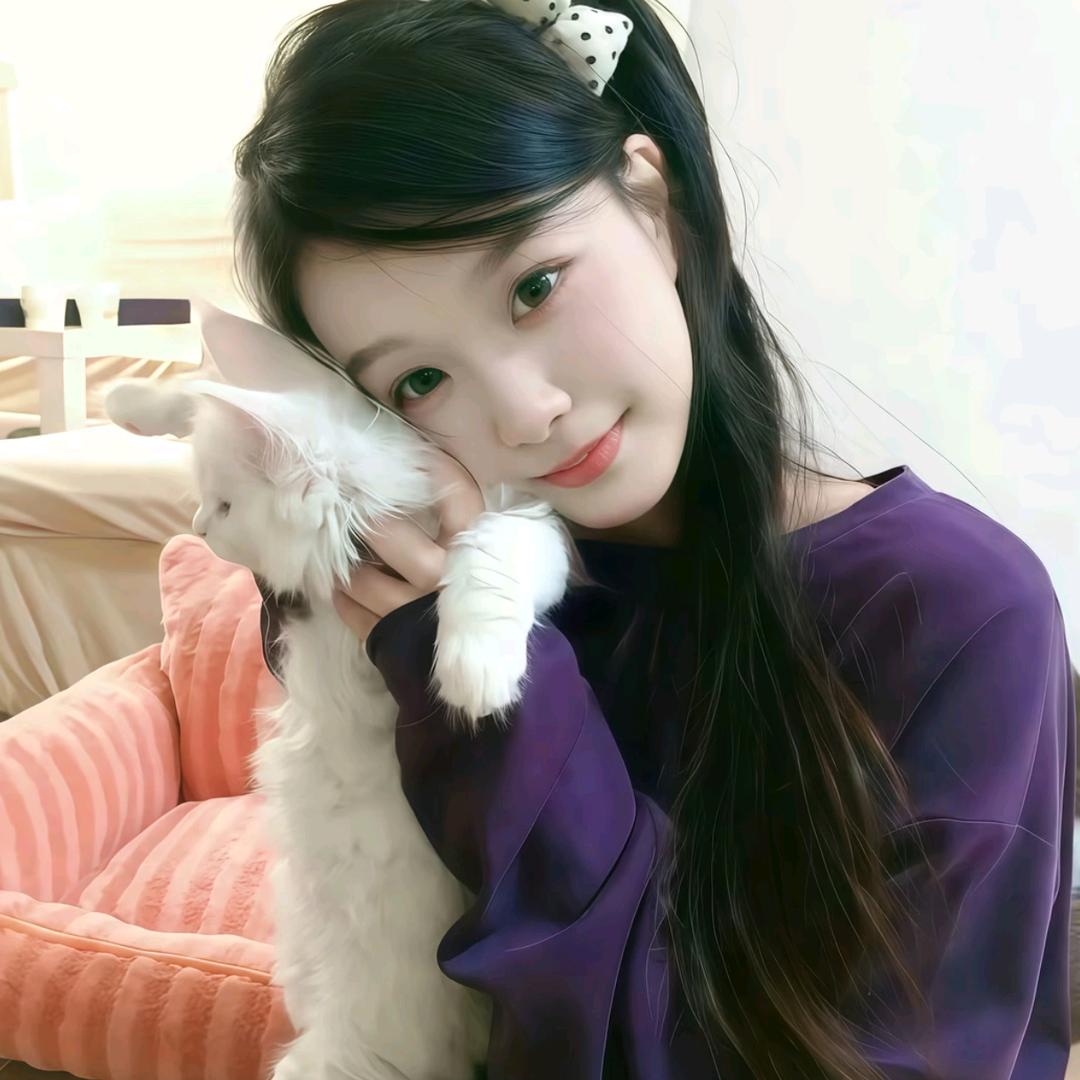 𝘾𝙁𝙈-柒七.