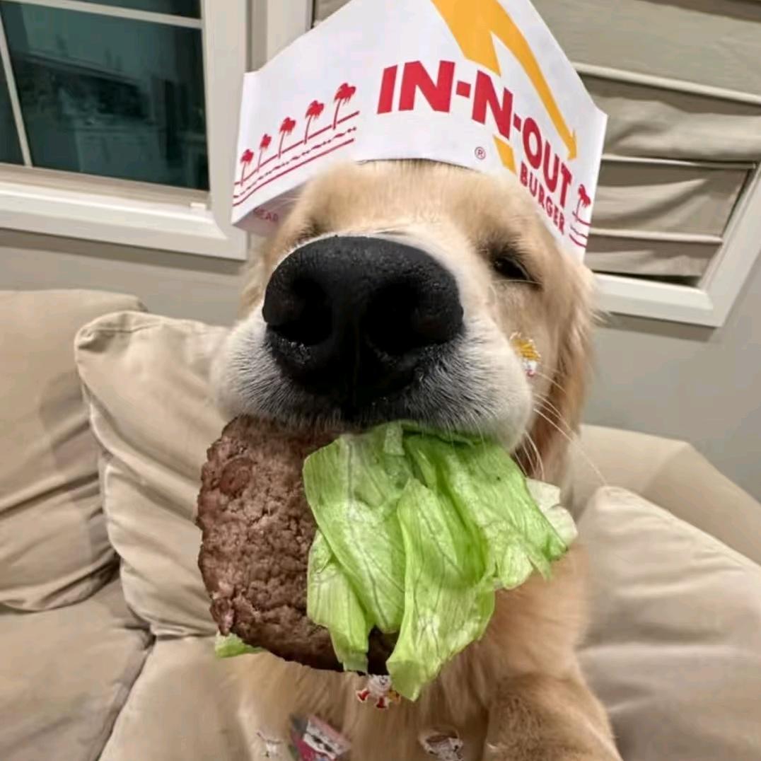 π_