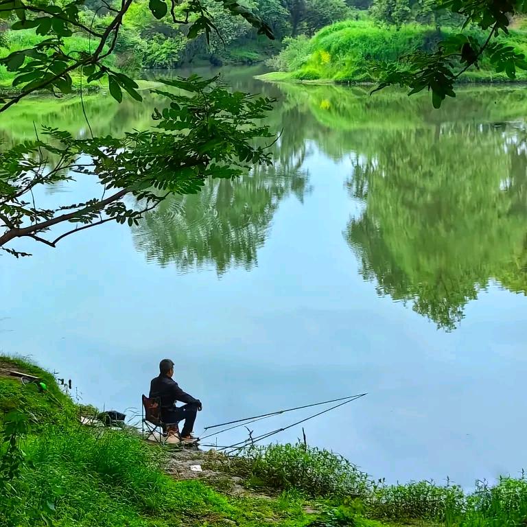 lure🎣浅鱼
