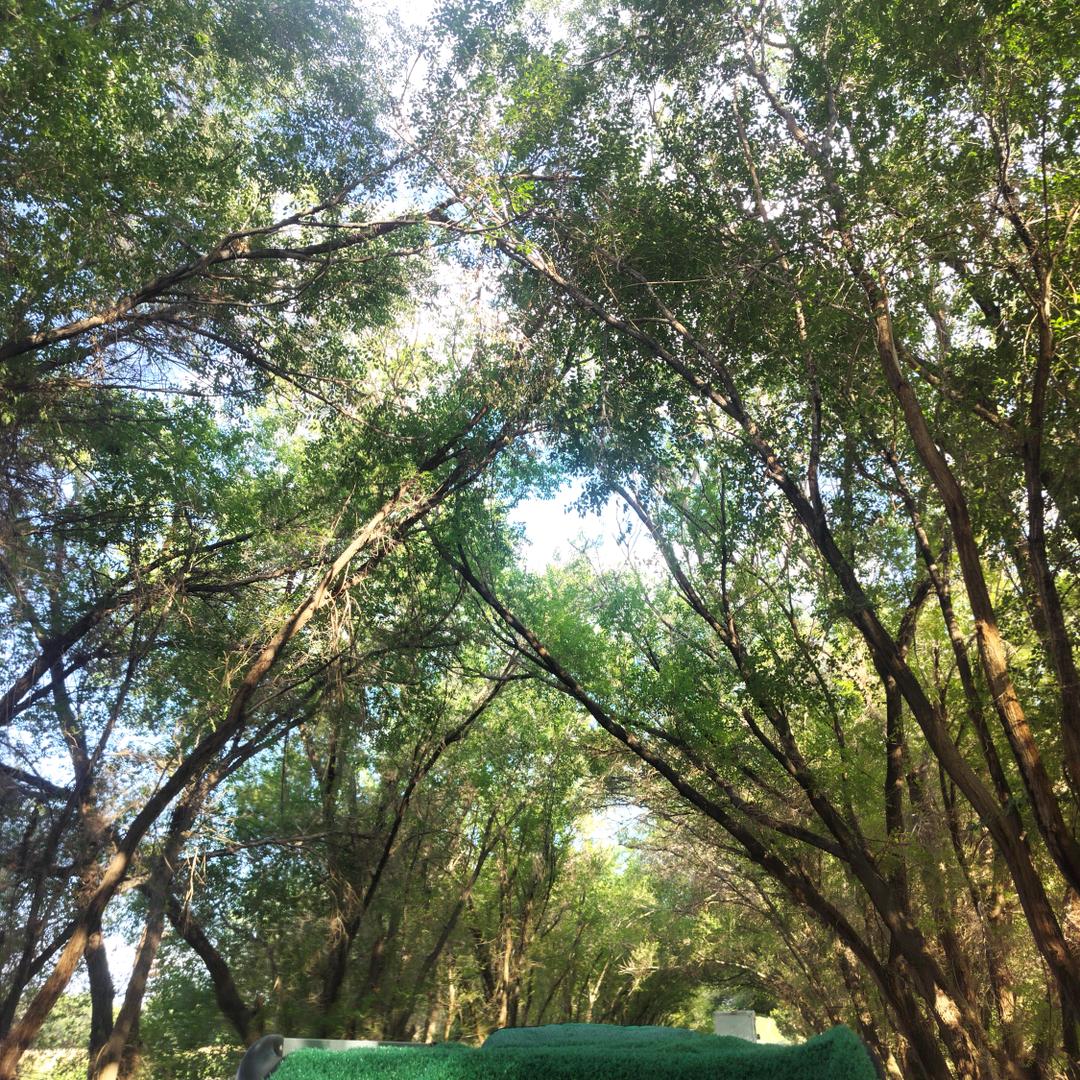 幸福美满吉祥如意