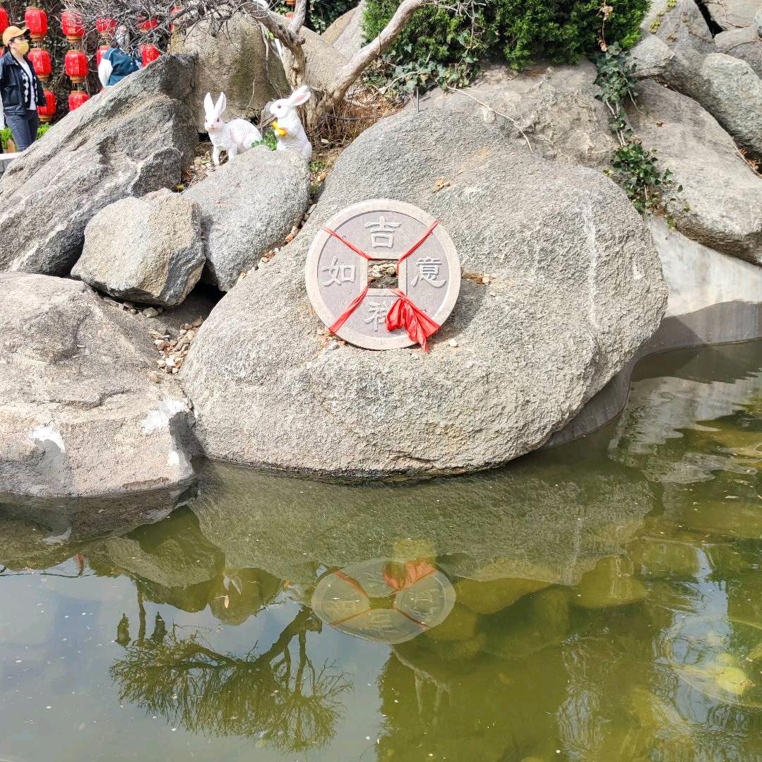 心想事成v好运连连