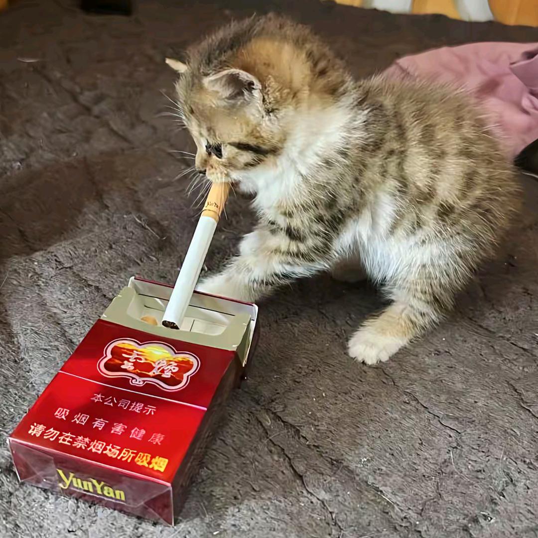 八十岁老头穿足力健夜跑迷路进了寡妇村