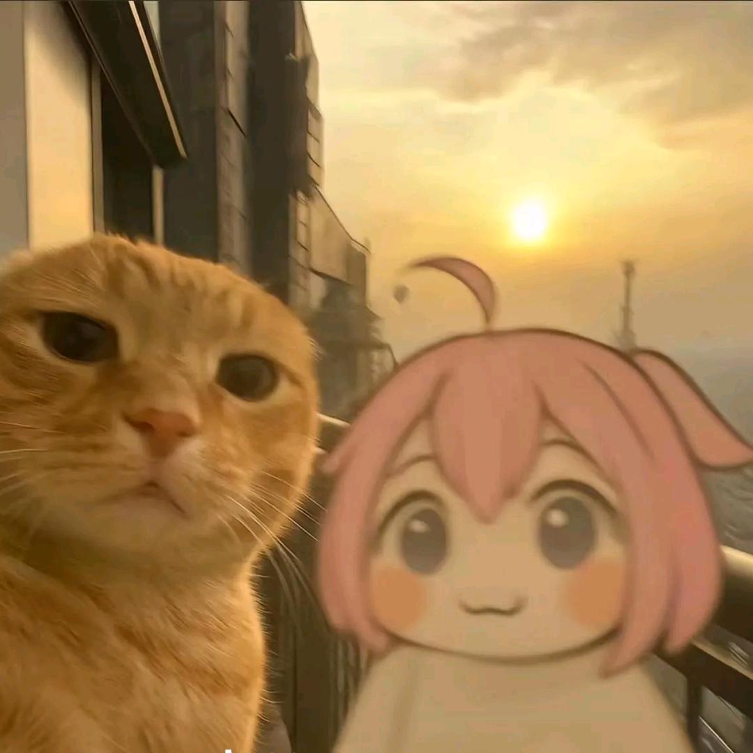 玩家