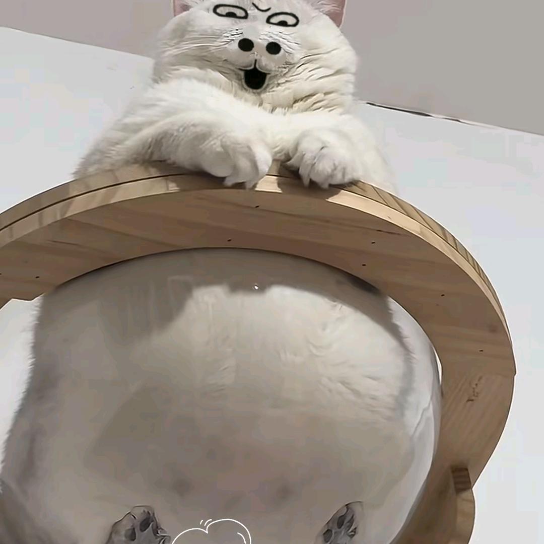 阿刚啊