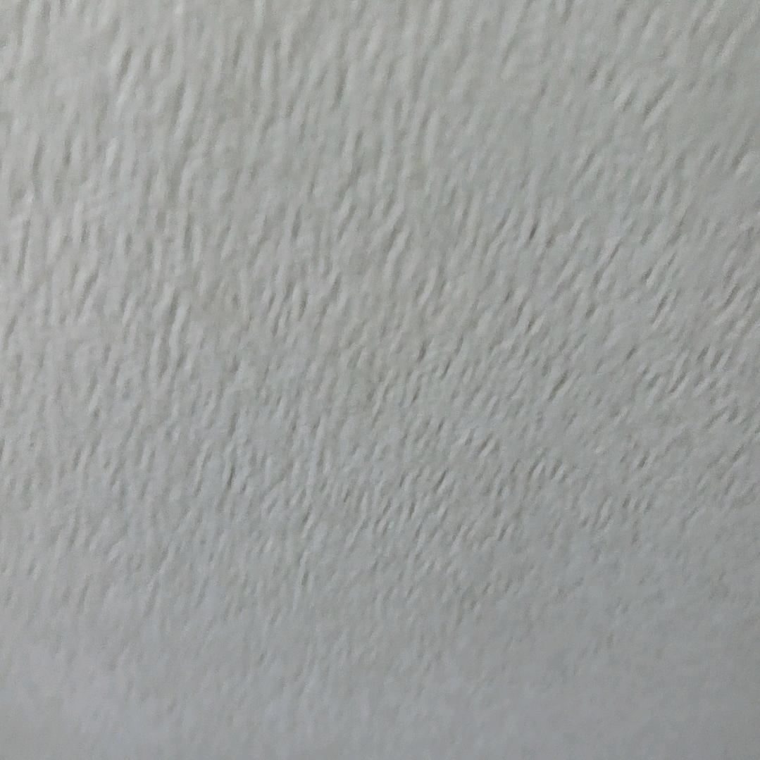 大胆小孩