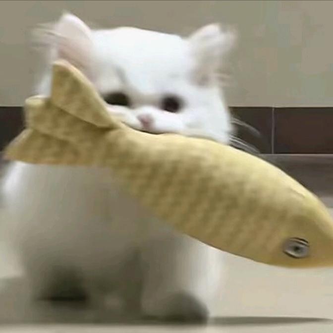 一点心·