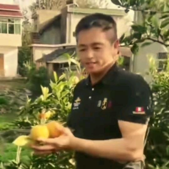 自由人、章老三