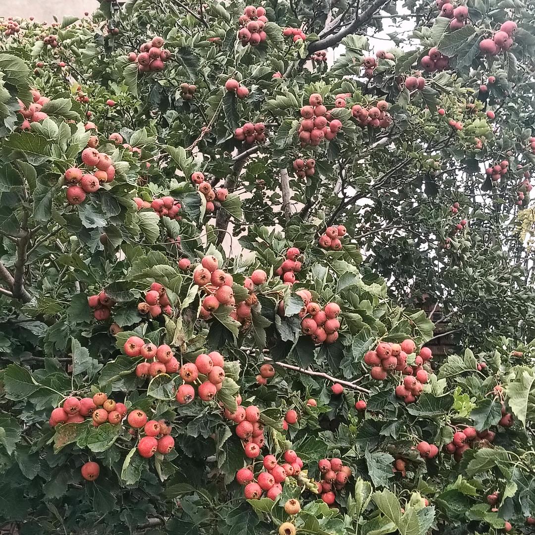 保证好心情