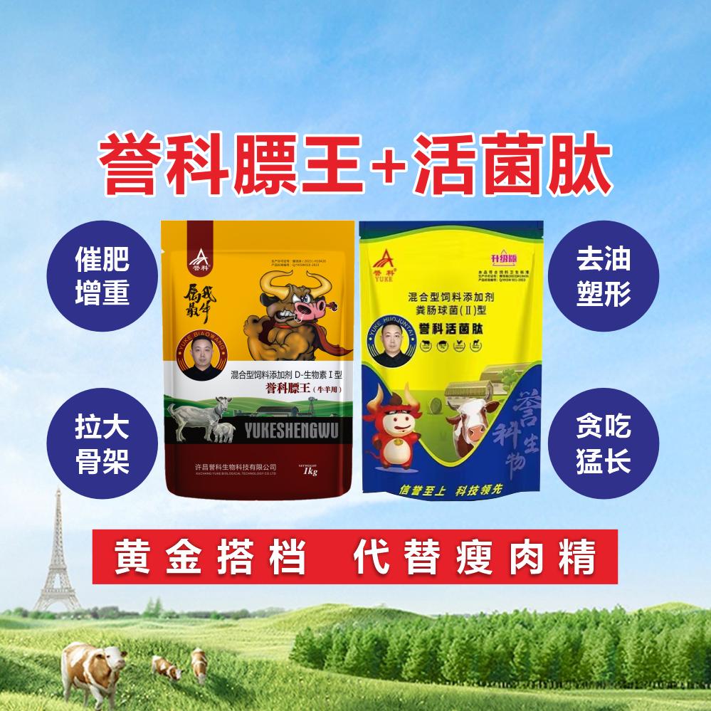 誉科膘王小刘总