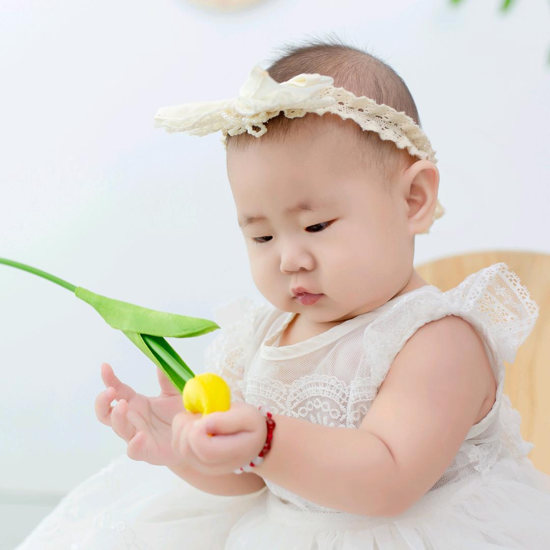 🌺花开富贵🌺