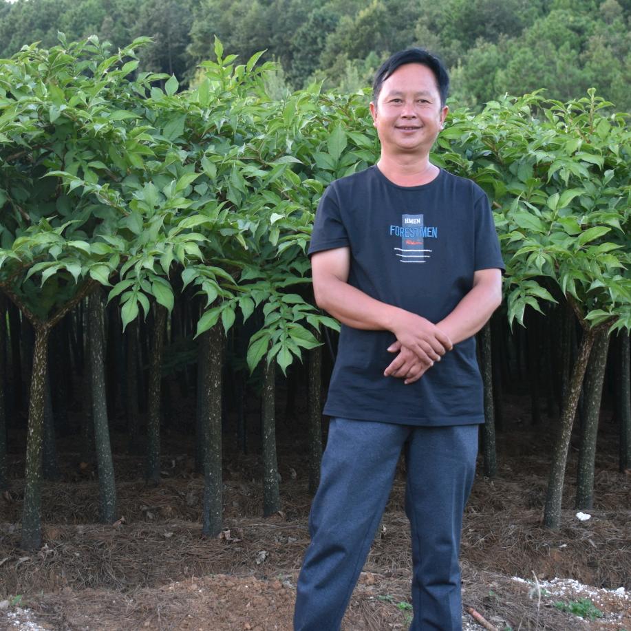 魔芋老甘种植农场