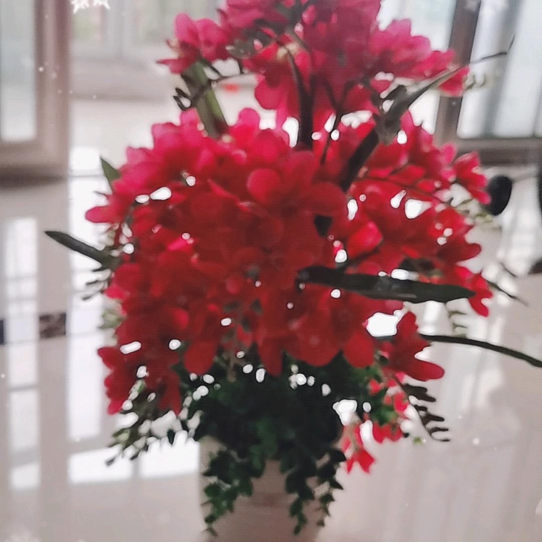 陈哥