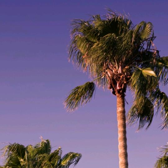 📌|²点³公里📏