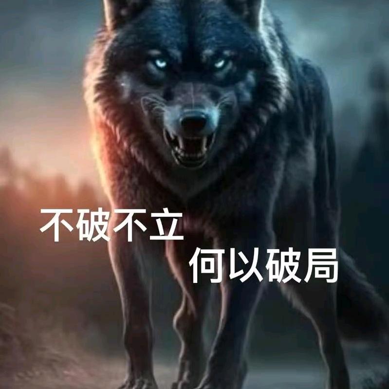 孤独的狼