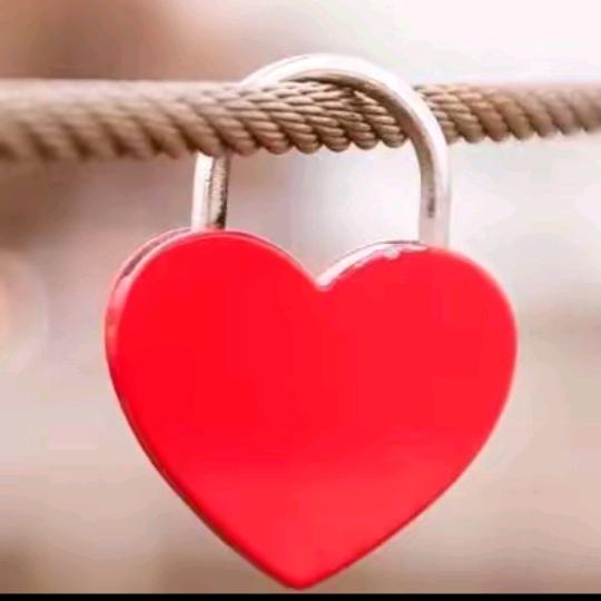 💕💕肥东圆圆