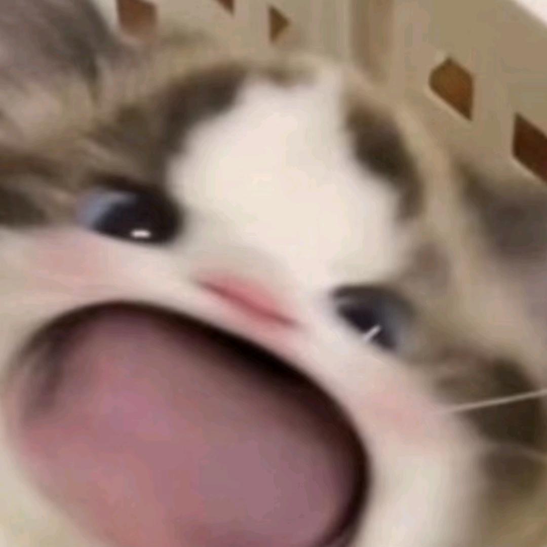 悄悄