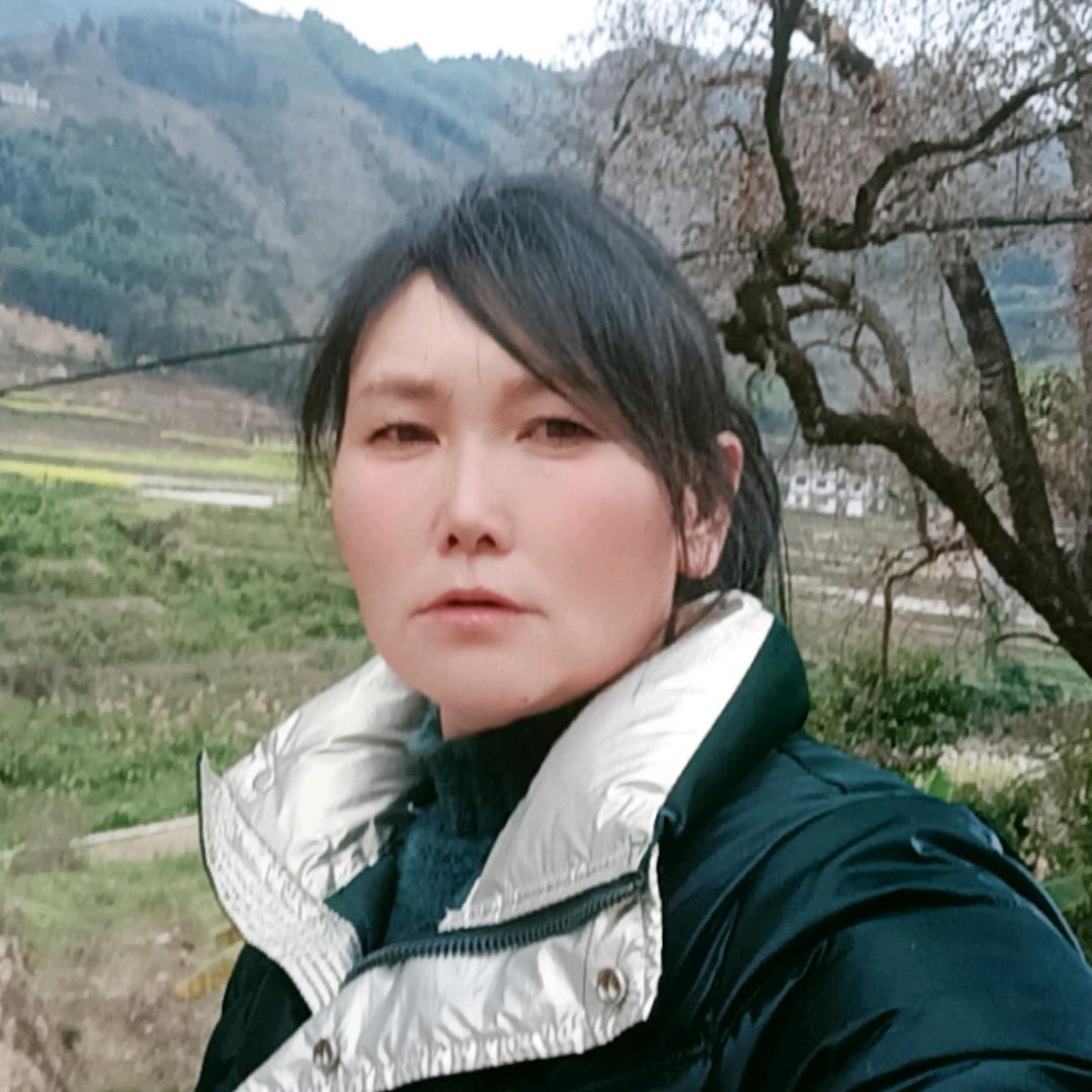 琴弘