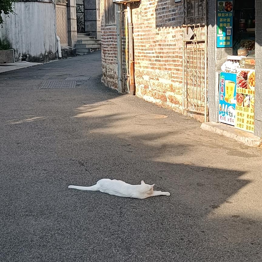 雨林
