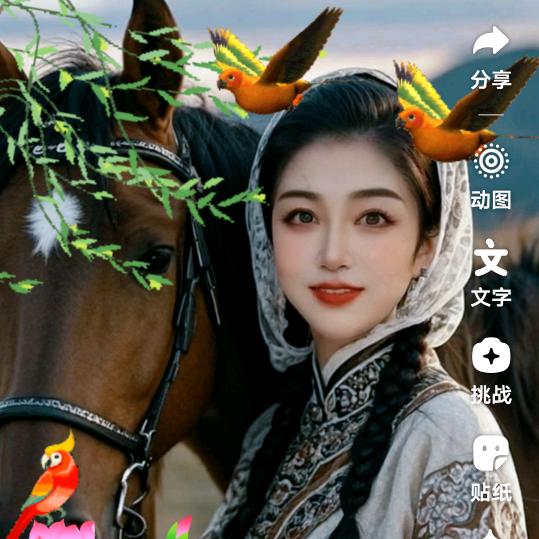 辛锦兰