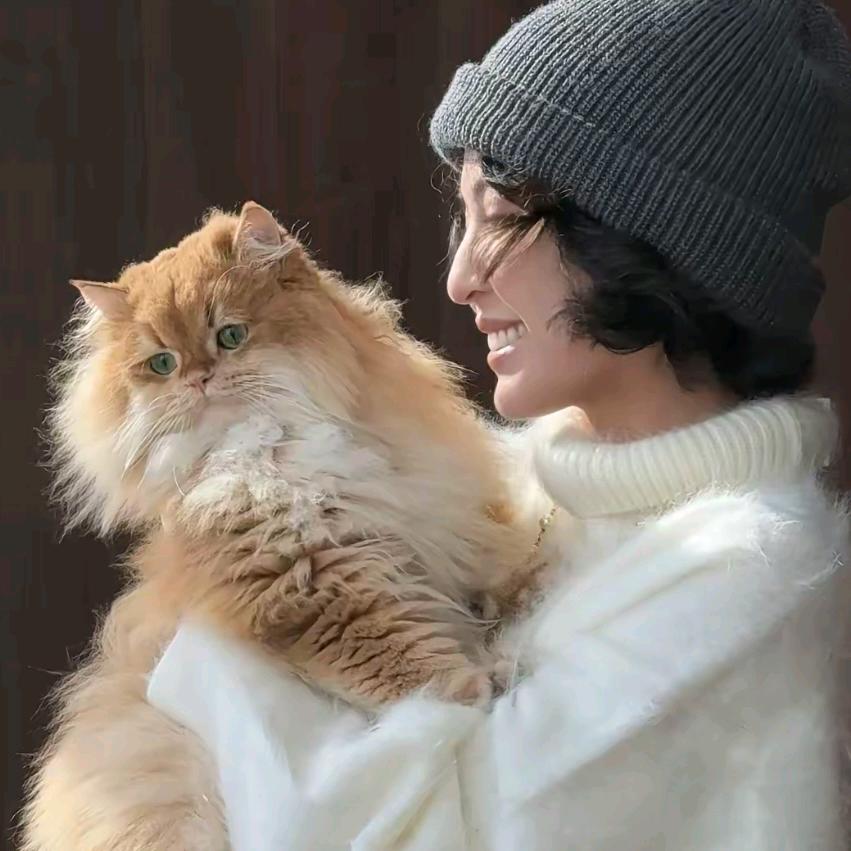 华吉言穿搭衣橱