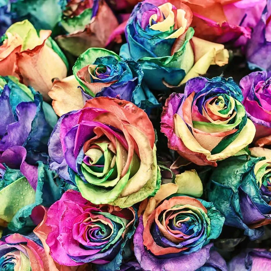 🫧菜就多念🙈🙉🙊