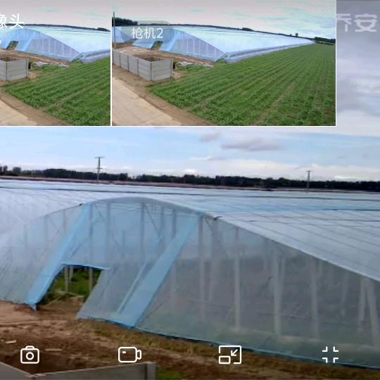 乡村振兴蔬菜代发