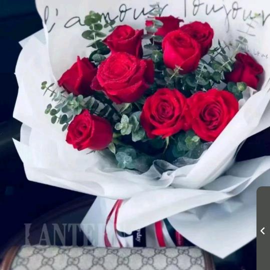 yan♥er🌹🌹🌹