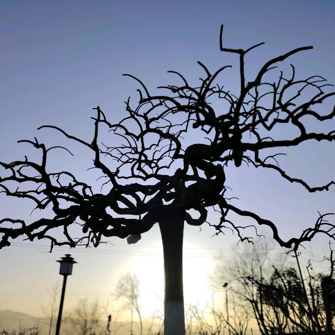 兰州新区，山水雅居装饰，有限公司，刘鹏