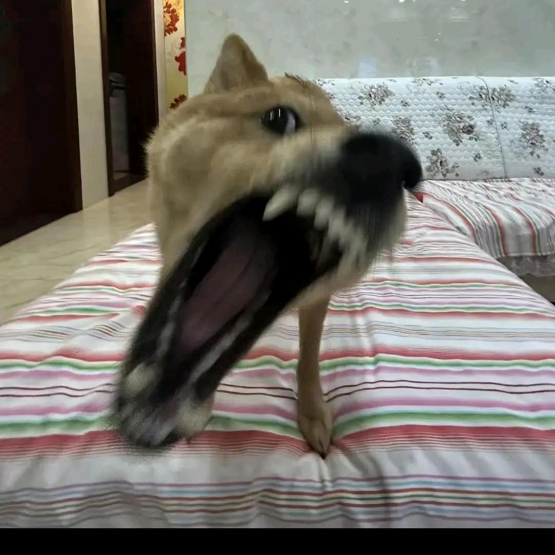 哈哈哈