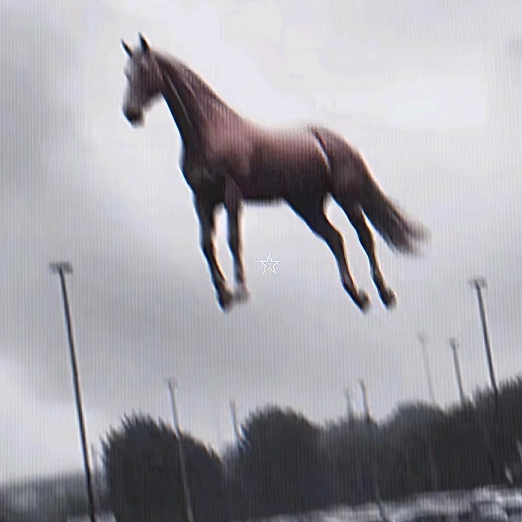 菠萝派重度依赖