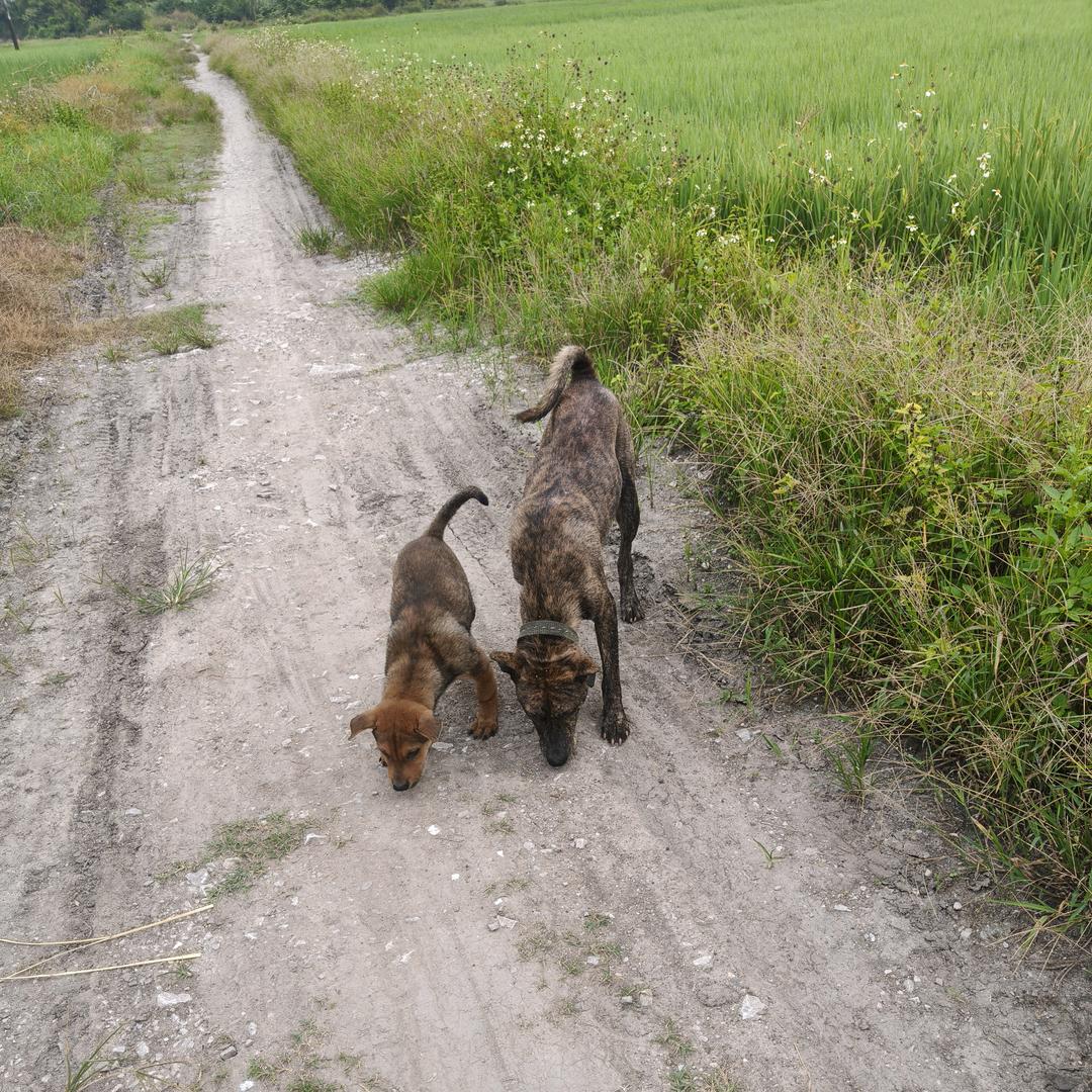我不娇气，我只依赖