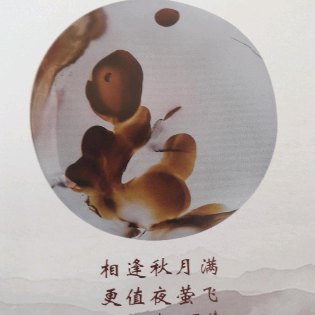 宝莊石地