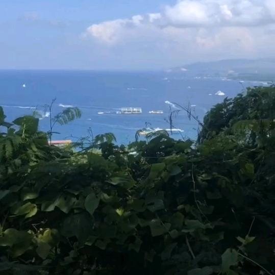 尘🫁  小杨 努力活着